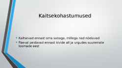 Skorpionid esitlus Kristofer ja Ragnar #6