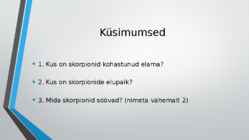 Skorpionid esitlus Kristofer ja Ragnar #10