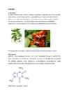 ALKALOIDID #4