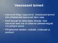 Järve taimed #6