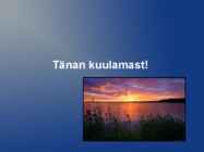 Järve taimed #10