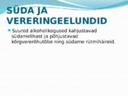 Alkoholi kahjulik mõju organismile #6