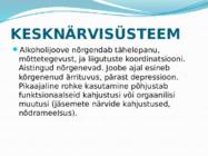 Alkoholi kahjulik mõju organismile #8