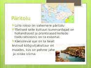 Lollo rosso #2