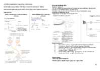 NEUROPSÜHHOLOOGIA #38