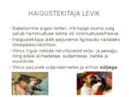 Marutõbi #4