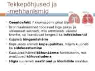 Tsüstiline fibroos #4