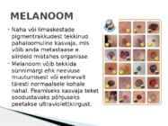 Herpes ja Haigused #10