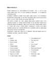 Renessanss ajastu #12