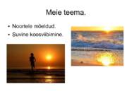 Selvelaud #8