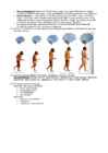 Bioloogia KT Evolutsiooni mehhanismid #3