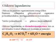 Glükolüüs #2