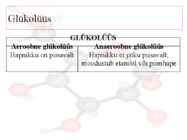 Glükolüüs #4