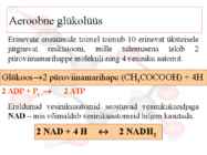 Glükolüüs #5