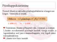Glükolüüs #7