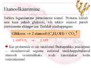 Glükolüüs #8