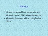 Paljunemine ja areng #14