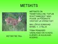Metsloomad #15