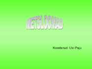 Metsloomad