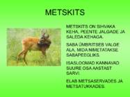 Metsloomad #14
