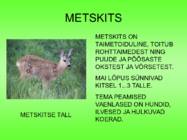 Metsloomad #15