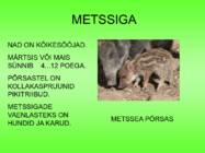 Metsloomad #17