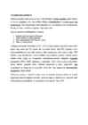 Innovatsioon #6