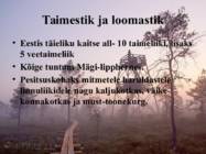 Kõrvemaa #7
