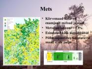 Kõrvemaa #9