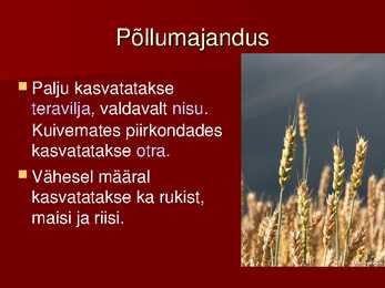 Türgi powerpoint #13