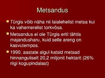 Türgi powerpoint #14