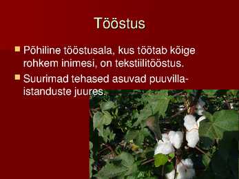 Türgi powerpoint #21