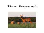 Eesti rahvuspargid #13