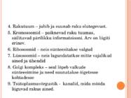 TAIME- JA LOOMARAKU EHITUS JA TALITLUS #5