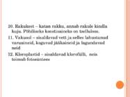 TAIME- JA LOOMARAKU EHITUS JA TALITLUS #6