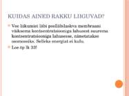 TAIME- JA LOOMARAKU EHITUS JA TALITLUS #7