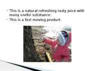 Birch juice #2