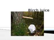 Birch juice