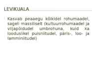 Harilik härjasilm #3