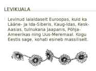 Harilik härjasilm #4