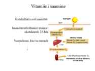 D-vitamiin powerpoint #5