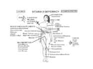 D-vitamiin powerpoint #8