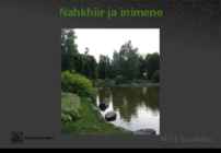 Eesti nahkhiired #22