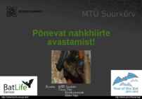 Eesti nahkhiired #30