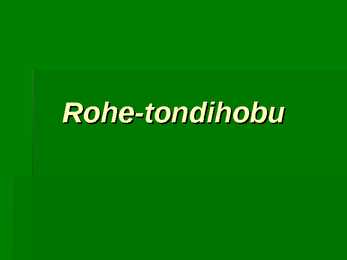Rohe-tondihobu