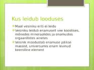 Vesinik #5