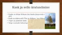 Puuliikide eristamise doomino-Loovtöö #5