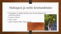Puuliikide eristamise doomino-Loovtöö #6