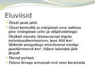 Tiiger-powerpoint #4