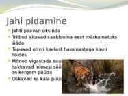 Tiiger-powerpoint #5